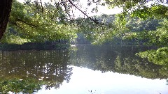 IAT; Chippewa Forest Area, WI