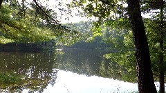 IAT; Chippewa Forest Area, WI