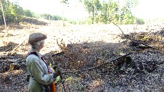 Ruth Bennett McDougal Dorrough; IAT; Chippewa Forest Area, WI