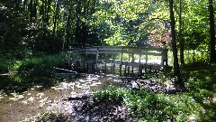 IAT; Chippewa Forest Area, WI