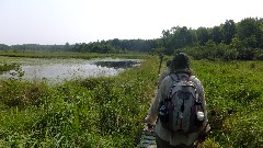 IAT; Chippewa Forest Area, WI