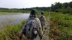 Ruth Bennett McDougal Dorrough; Judy Geisler; IAT; Chippewa Forest Area, WI