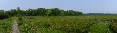 IAT; Chippewa Forest Area, WI