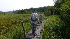 Judy Geisler; Ruth Bennett McDougal Dorrough; IAT; Chippewa Forest Area, WI