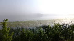 IAT; Chippewa Forest Area, WI; foggy