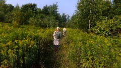 Judy Geisler; Ruth Bennett McDougal Dorrough; IAT; Lublin, WI