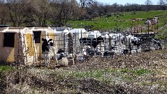 young cows; IAT; Kettlebowl Segment, WI