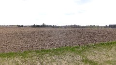 farm field; IAT; Iola, WI