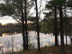 Waupaca S more fun Campground; Old Taylor Lake, WI