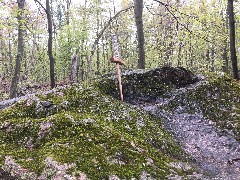 IAT; Emmons Creek Segment, WI; Sword in the Stone ; rotated