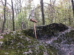 IAT; Emmons Creek Segment, WI; Sword in the Stone ; rotated