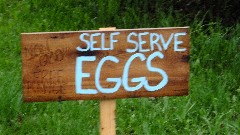 sign self serve eggs
Non GMO
Free Range