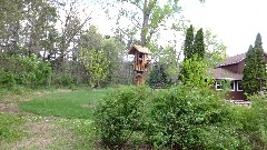 bird house; IAT; Buffalo Lake area, WI