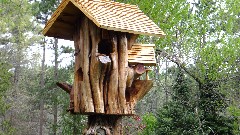 bird house; IAT; Buffalo Lake area, WI