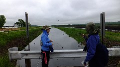 Ruth Bennett McDougal Dorrough; Judy Geisler; IAT; Leech Creek, WI