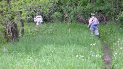 Judy Geisler; Ruth Bennett McDougal Dorrough; IAT; Devil s Lake, WI