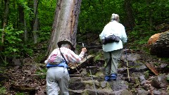 Ruth Bennett McDougal Dorrough; Judy Geisler; IAT; Devil s Lake, WI