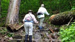 Ruth Bennett McDougal Dorrough; Judy Geisler; IAT; Devil s Lake, WI