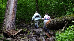 Judy Geisler; Ruth Bennett McDougal Dorrough; IAT; Devil s Lake, WI