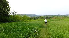 Judy Geisler; IAT; Gibralter Rock, WI