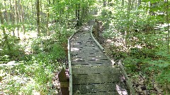 board walk; IAT, WI