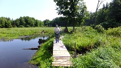 Judy Geisler; board walk; IAT; Camp 27 Segment, WI