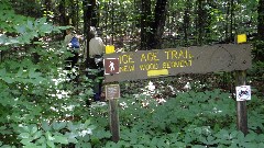 IAT; Ruth Bennett McDougal Dorrough; Judy Geisler; 
sign New Wood Segment