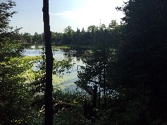 swamp; IAT, WI