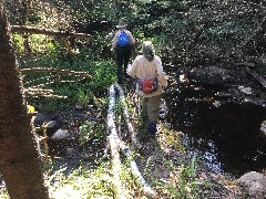 Ruth Bennett McDougal Dorrough; Judy Geisler; crossing the stream; IAT, WI