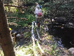 Ruth Bennett McDougal Dorrough; Judy Geisler; crossing the stream; IAT, WI