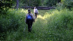 Ruth Bennett McDougal Dorrough; Judy Geisler; blowdown; IAT; Highland Lakes Segment, WI