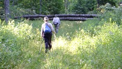 Ruth Bennett McDougal Dorrough; Judy Geisler; blowdown; IAT; Highland Lakes Segment, WI