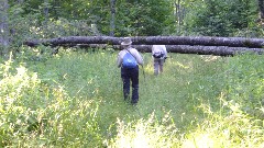 Ruth Bennett McDougal Dorrough; Judy Geisler; blowdown; IAT; Highland Lakes Segment, WI