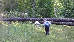 Judy Geisler; Ruth Bennett McDougal Dorrough; blowdown; IAT; Highland Lakes Segment, WI