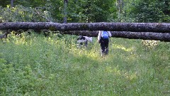 Judy Geisler; Ruth Bennett McDougal Dorrough; blowdown; IAT; Highland Lakes Segment, WI