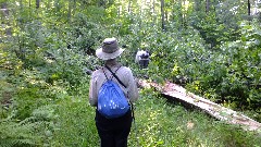 Ruth Bennett McDougal Dorrough; Judy Geisler; blowdown; IAT; Highland Lakes Segment, WI