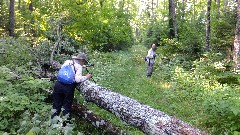 Ruth Bennett McDougal Dorrough; Judy Geisler; blowdown; IAT; Highland Lakes Segment, WI