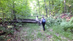 Judy Geisler; Ruth Bennett McDougal Dorrough; blowdown; IAT; HIghland Lakes Segment, WI