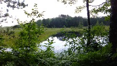 IAT; Langlade County Arboretum, WI