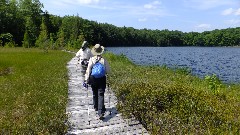 Judy Geisler; Ruth Bennett McDougal Dorrough; IAT; Langlade County Arboretum, WI