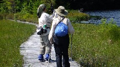 Judy Geisler; Ruth Bennett McDougal Dorrough; IAT; Langlade County Arboretum, WI