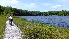 Judy Geisler; Ruth Bennett McDougal Dorrough; IAT; Langlade County Arboretum, WI