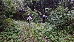 Judy Geisler; Ruth Bennett McDougal Dorrough; blowdown; IAT; Lumbercamp Segment, WI