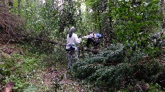 Judy Geisler; Ruth Bennett McDougal Dorrough; blowdown; IAT; Lumbercamp Segment, WI