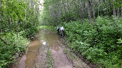 Ruth Bennett McDougal Dorrough; Judy Geisler; mud; IAT; Peter s Marsh Wildlife Area, WI