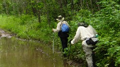 Ruth Bennett McDougal Dorrough; Judy Geisler; mud; IAT; Peter s Marsh Wildlife Area, WI