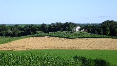 farm; IAT, WI