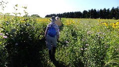 Judy Geisler; Ruth Bennett McDougal Dorrough; prairie; IAT, WI