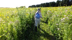 Judy Geisler; Ruth Bennett McDougal Dorrough; prairie; IAT, WI