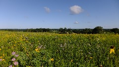 prairie; IAT, WI